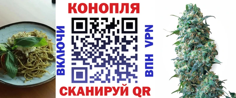 mega ТОР  Мураши  Cannafood конопля 