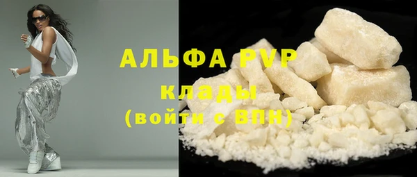 шишки Алзамай
