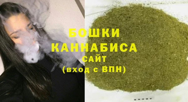 шишки Алзамай
