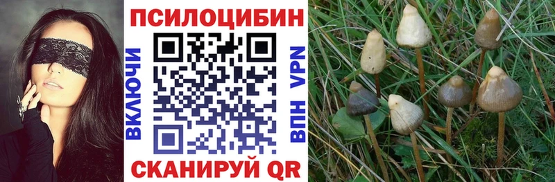 Галлюциногенные грибы мухоморы  наркота  нарко площадка состав  Мураши 